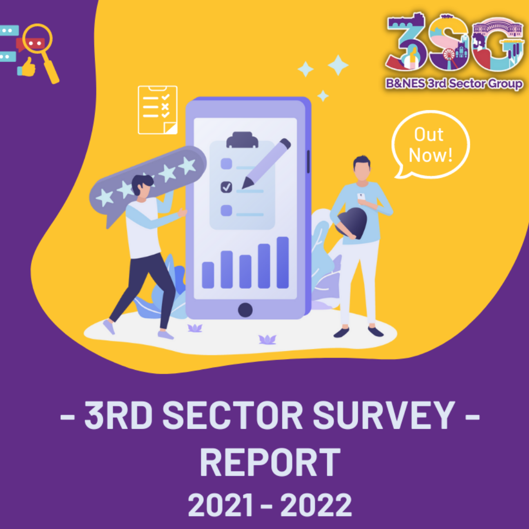 BaNES 3rd Sector Survey Report