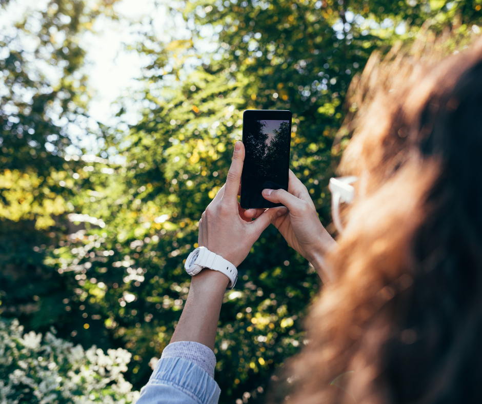 A person takes a photo of the nature they are surrounded by on their camera phone. They have brown long wavy hair.