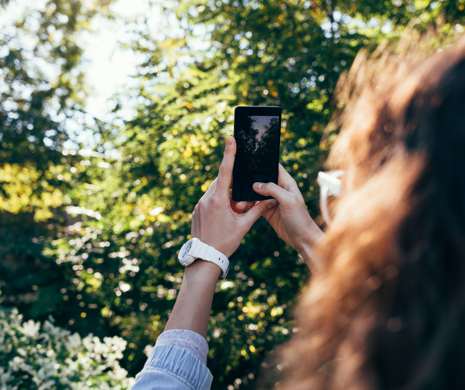 Ways Of Seeing – New Outdoor Photography Course!