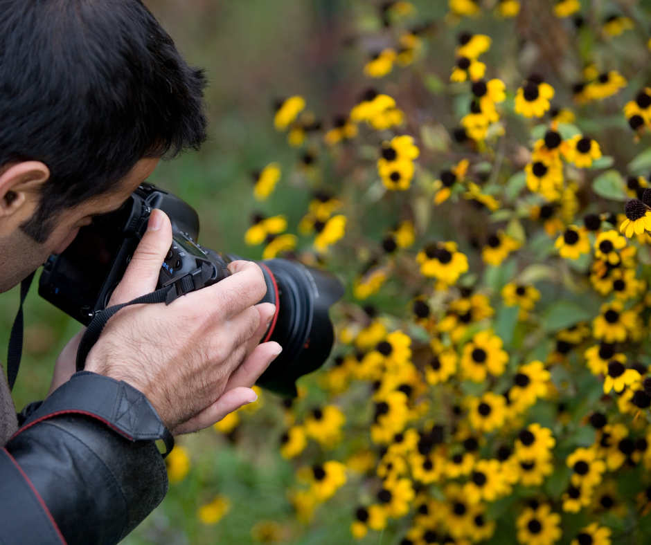 A man photographing yellow flowers
