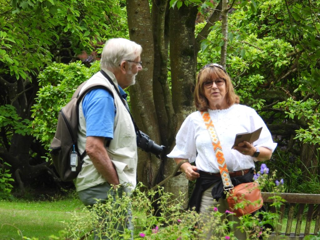 Two people talking while taking photos outdoors