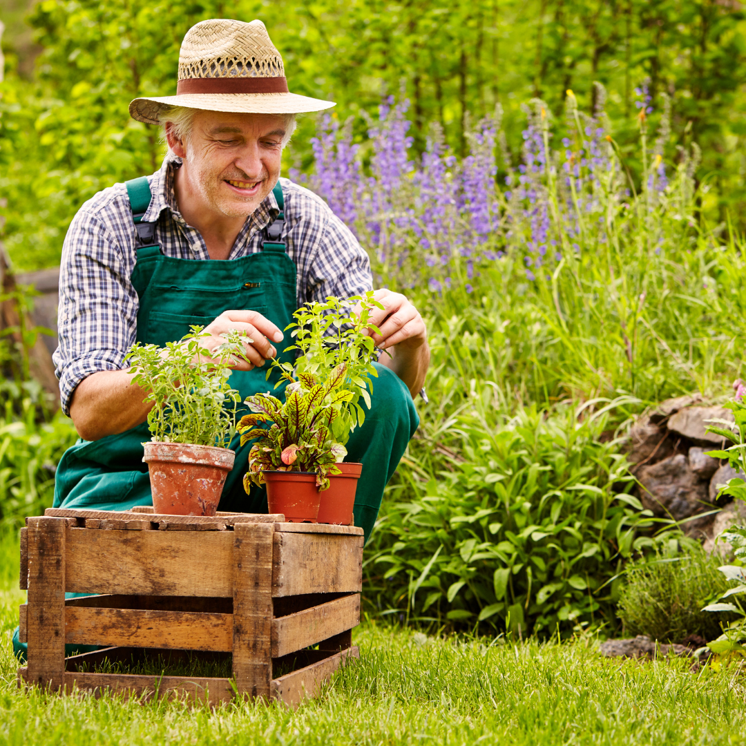 A man gardening