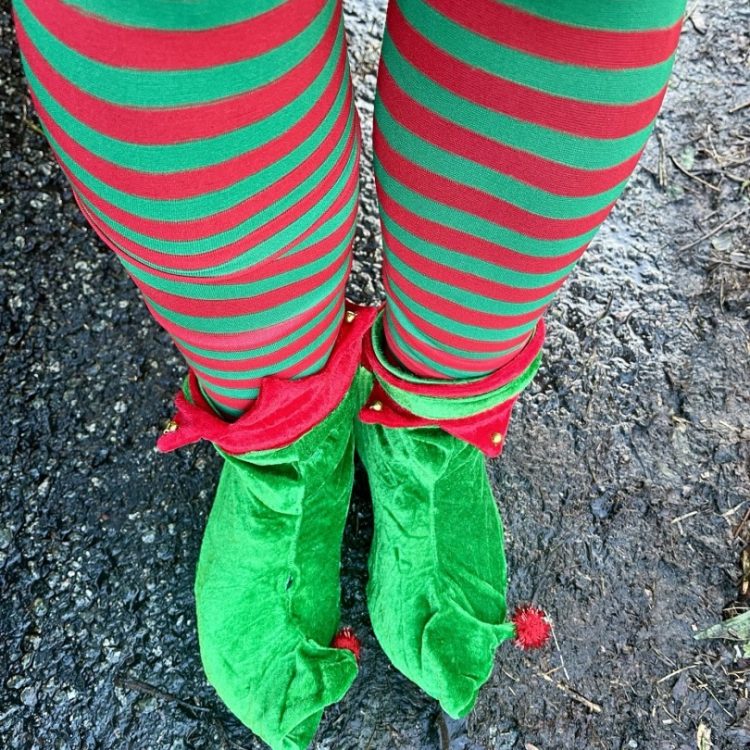 Mental Elf runners