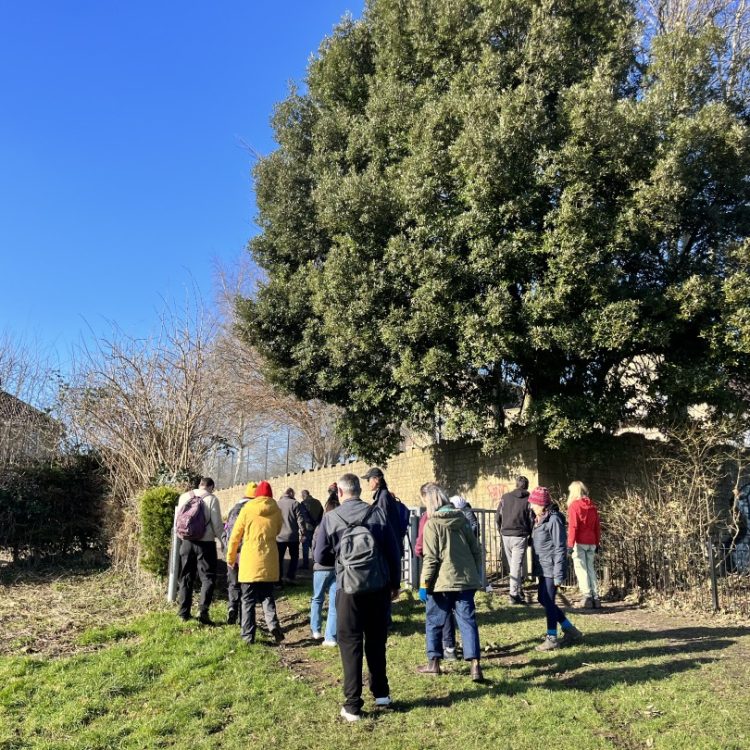 People on Bath Mind's wellbeing walk