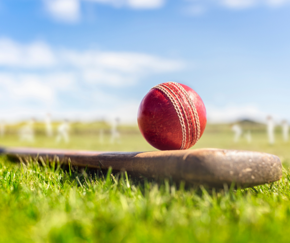 A cricket bat and ball on some grass on a sunny day